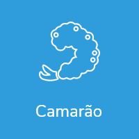 Camarão